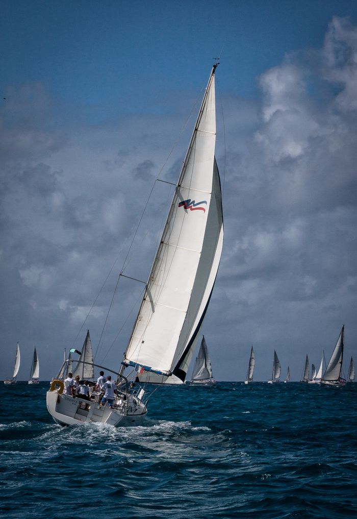 A vibrant sailboat regatta unfolds on the open sea under a dynamic sky, capturing the spirit of adventure.