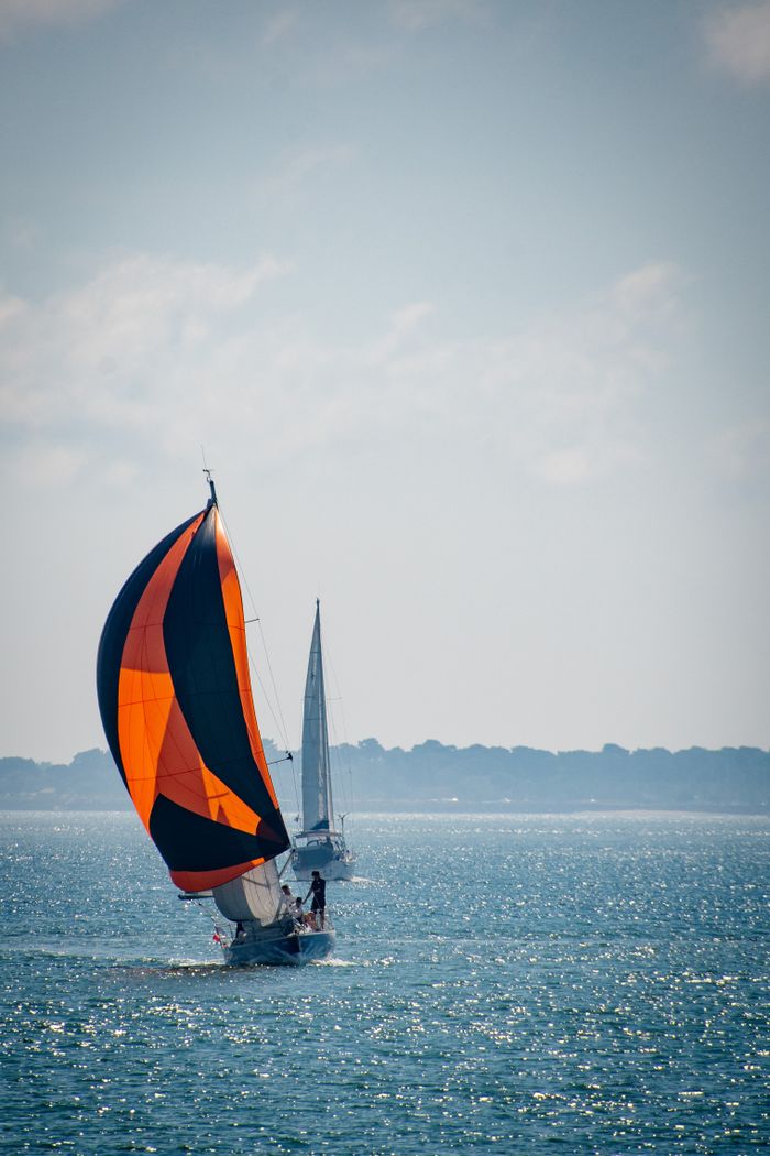 Vibrant sailboats with colorful sails glide across the sunny sea near Terneuzen, Netherlands.